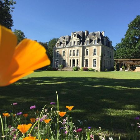 Chateau Des Essards Avec Piscine Et Jacuzzi Langeais Eksteriør billede