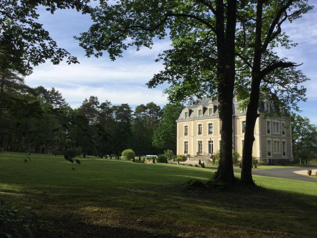 Chateau Des Essards Avec Piscine Et Jacuzzi Langeais Eksteriør billede